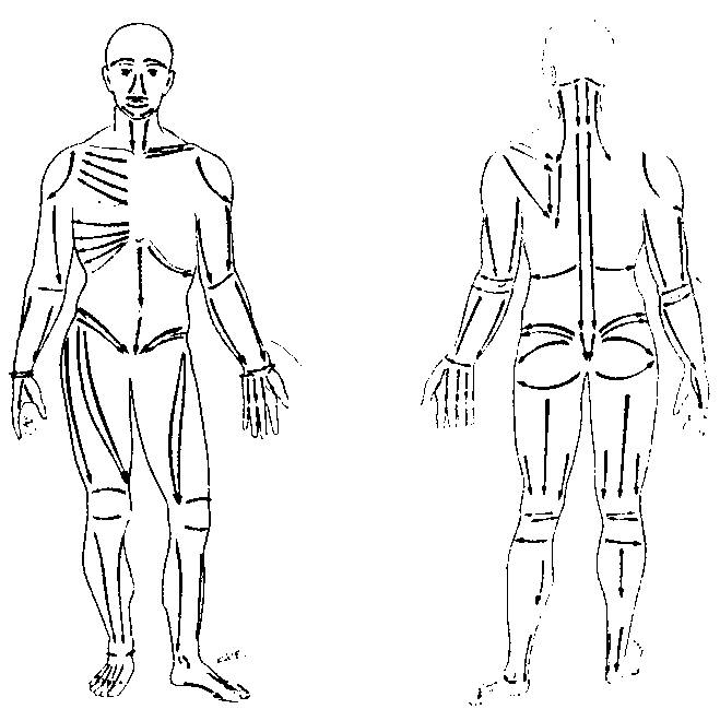 Рис. 44. Схема линий (полос) нейромышечного массажа на передней (слева) и задней (справа) поверхности тела (по R. Perronneaud-Ferre, 1999)