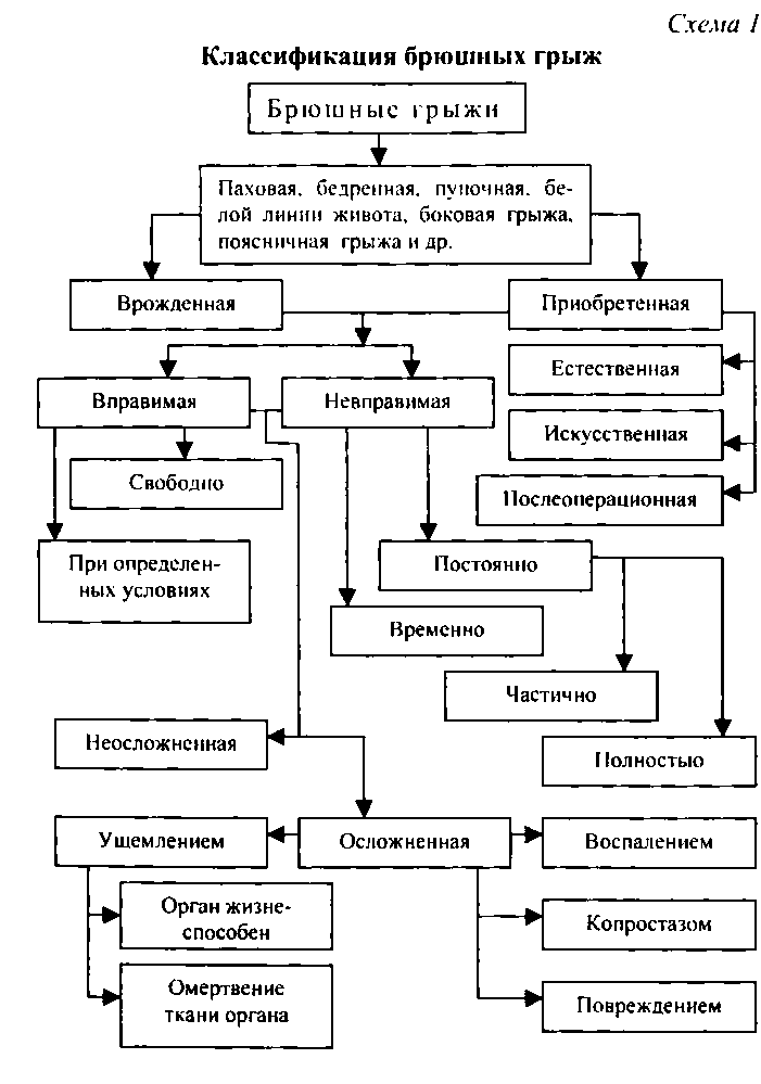 Все изложенное выше позволяет представить анатомо-этиопатогенетическую классификацию брюшных грыж в виде схемы 1.